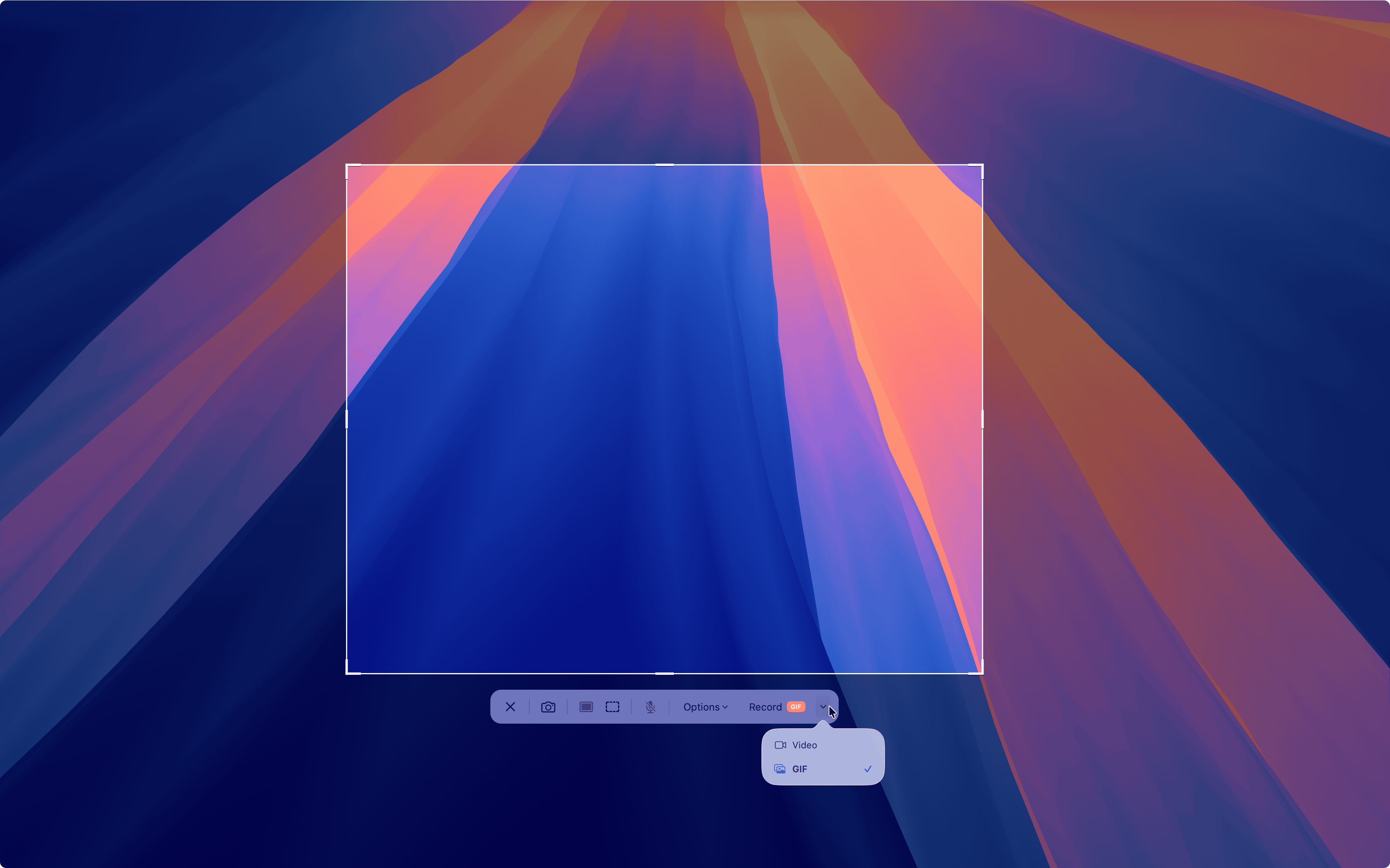 Recording & Edit Video